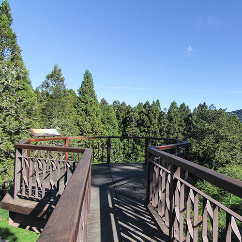 阿里山無障礙步道